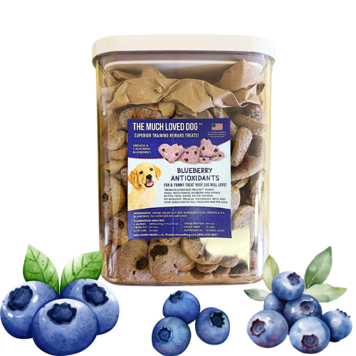 Blueberry Antioxidant Treats